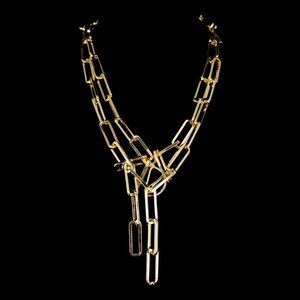 DANNIJO Gold Chain Link Lariat Necklace